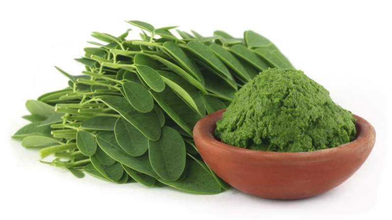 morinnga leaves and powder